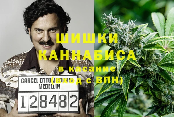 каннабис Бородино