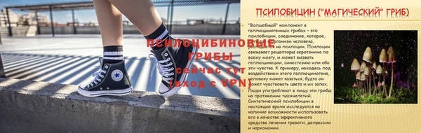 гидропоника Богородск