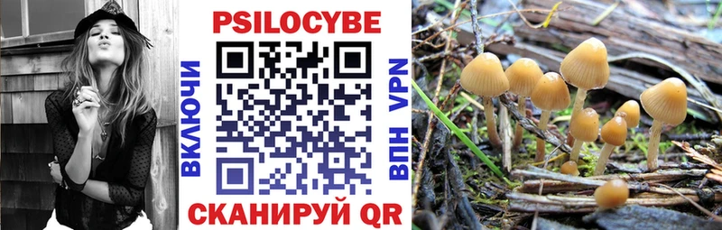 Псилоцибиновые грибы GOLDEN TEACHER  купить наркотики сайты  Губкин 